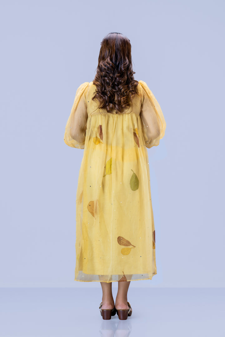Beige Plaavila Block Print Silk Organza Puff Sleeve Dress