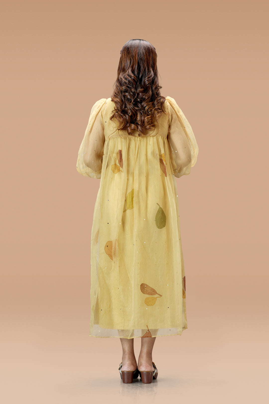 Beige Plaavila Block Print Silk Organza Puff Sleeve Dress