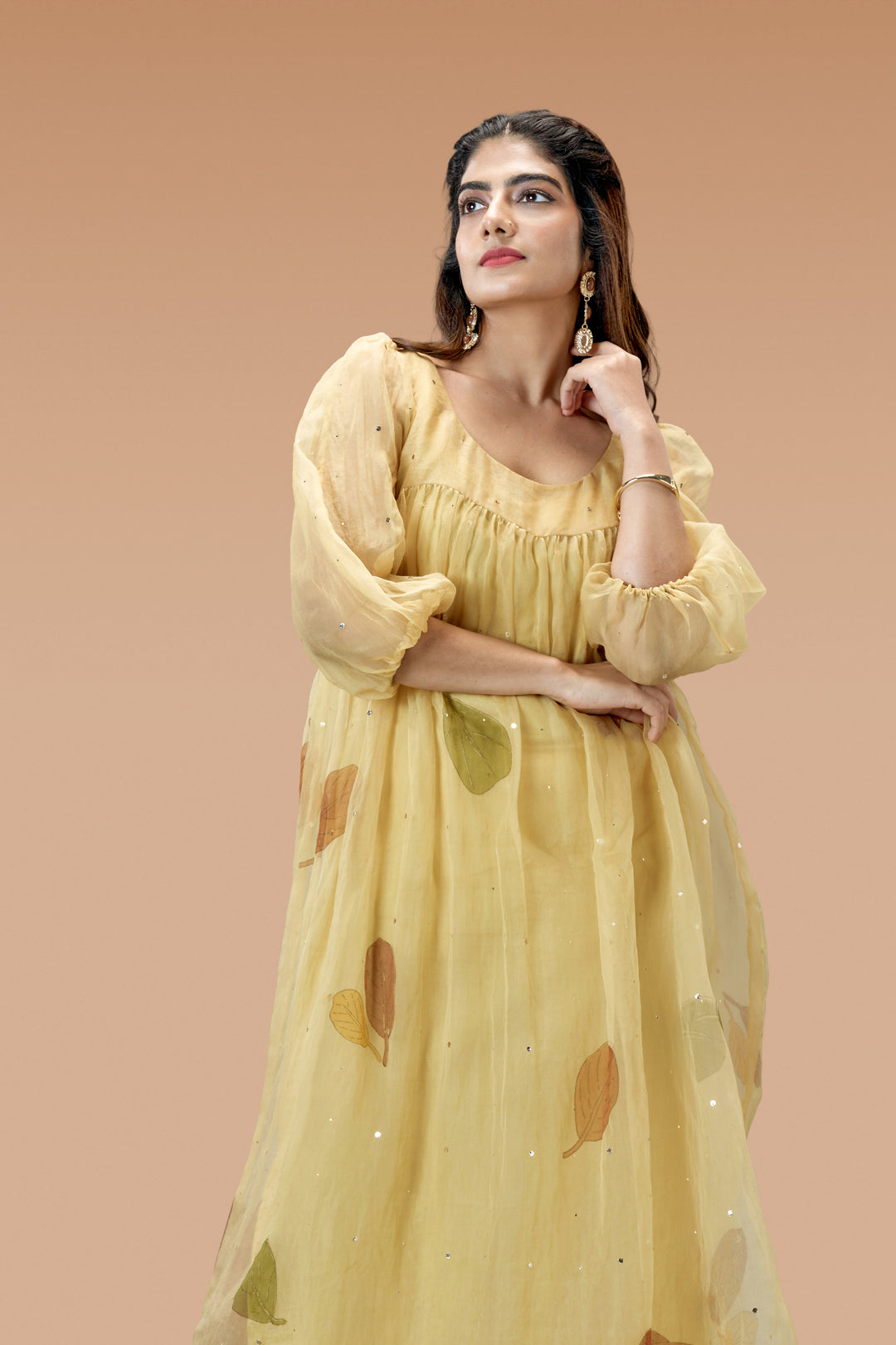 Beige Plaavila Block Print Silk Organza Puff Sleeve Dress