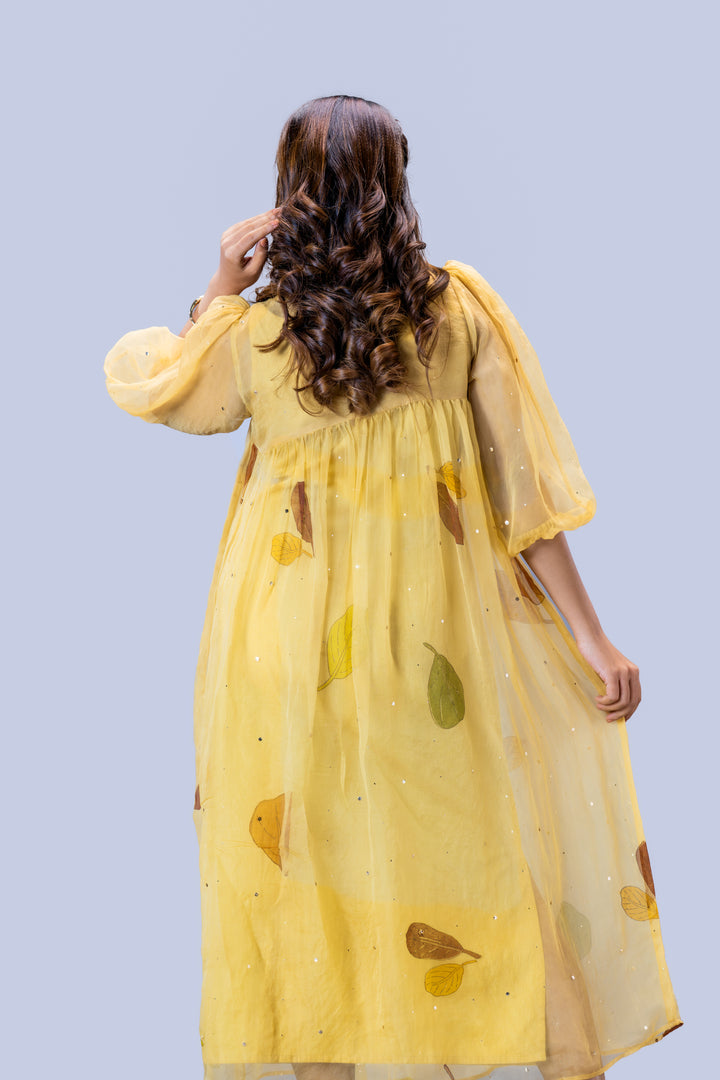 Beige Plaavila Block Print Silk Organza Puff Sleeve Dress
