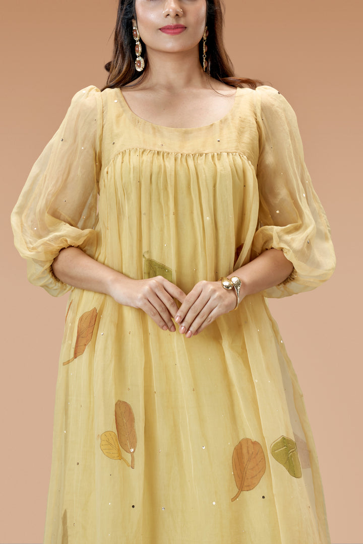 Beige Plaavila Block Print Silk Organza Puff Sleeve Dress
