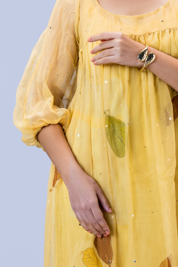 Beige Plaavila Block Print Silk Organza Puff Sleeve Dress
