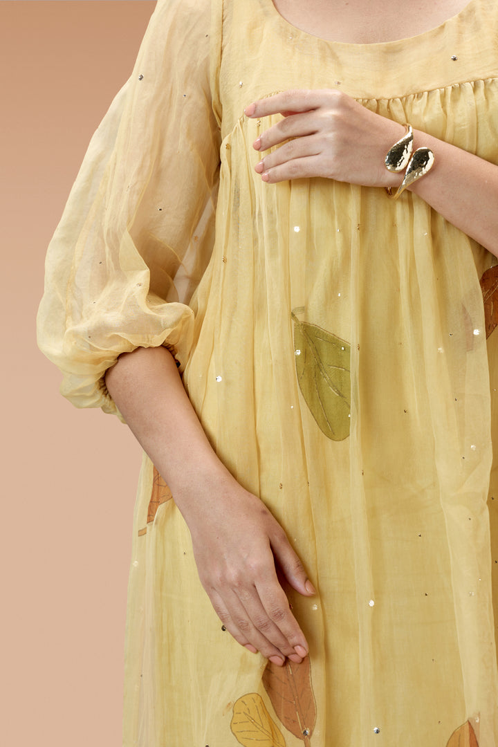 Beige Plaavila Block Print Silk Organza Puff Sleeve Dress