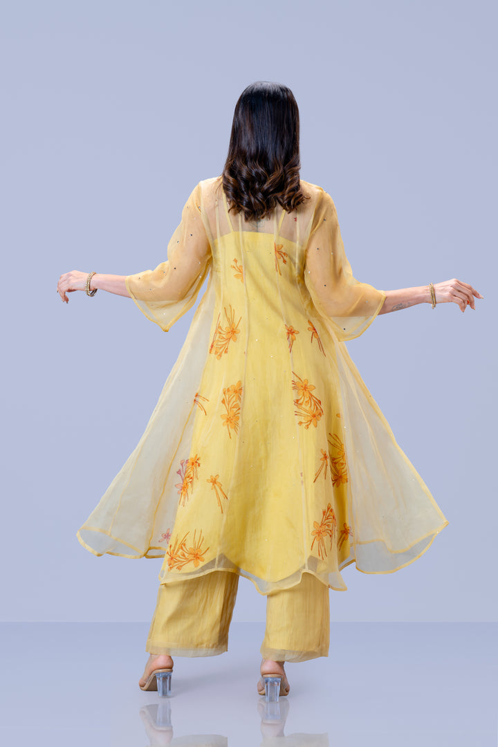 Beige Krishna Kireedam Block Print Silk Organza Panel Anarkali Top and Wide Leg Pant Set