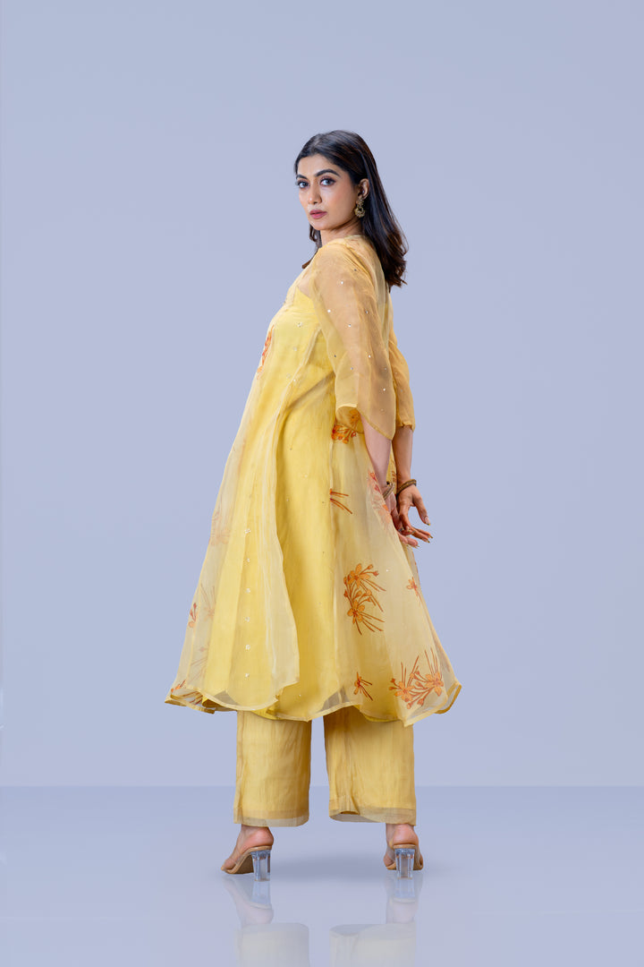 Beige Krishna Kireedam Block Print Silk Organza Panel Anarkali Top and Wide Leg Pant Set