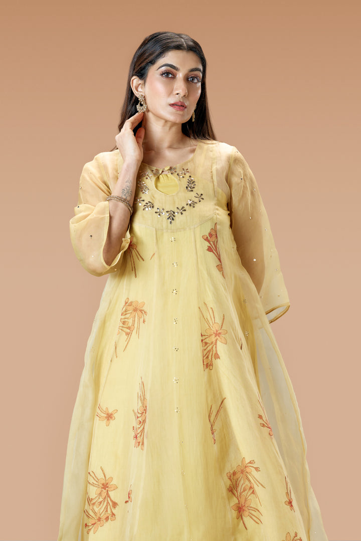 Beige Krishna Kireedam Block Print Silk Organza Panel Anarkali Top and Wide Leg Pant Set