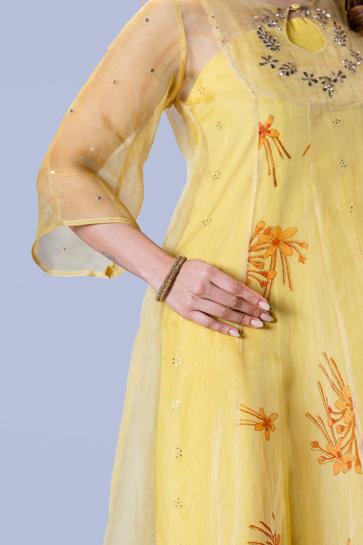 Beige Krishna Kireedam Block Print Silk Organza Panel Anarkali Top and Wide Leg Pant Set