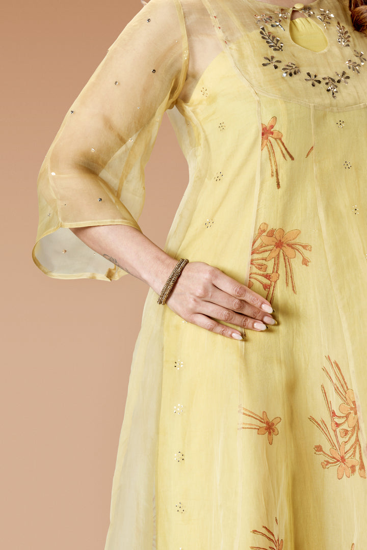 Beige Krishna Kireedam Block Print Silk Organza Panel Anarkali Top and Wide Leg Pant Set