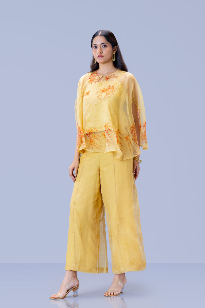 Beige Krishna Kireedam Block Print Silk Organza Poncho Top and Palazzo Pant Set