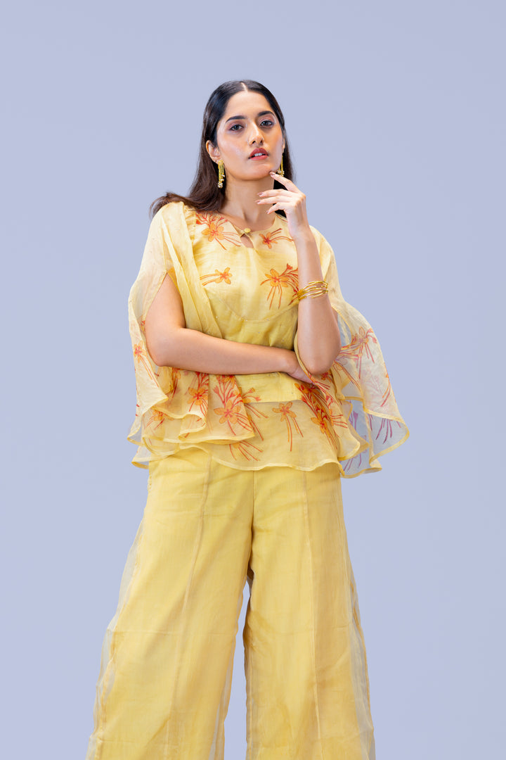 Beige Krishna Kireedam Block Print Silk Organza Poncho Top and Palazzo Pant Set