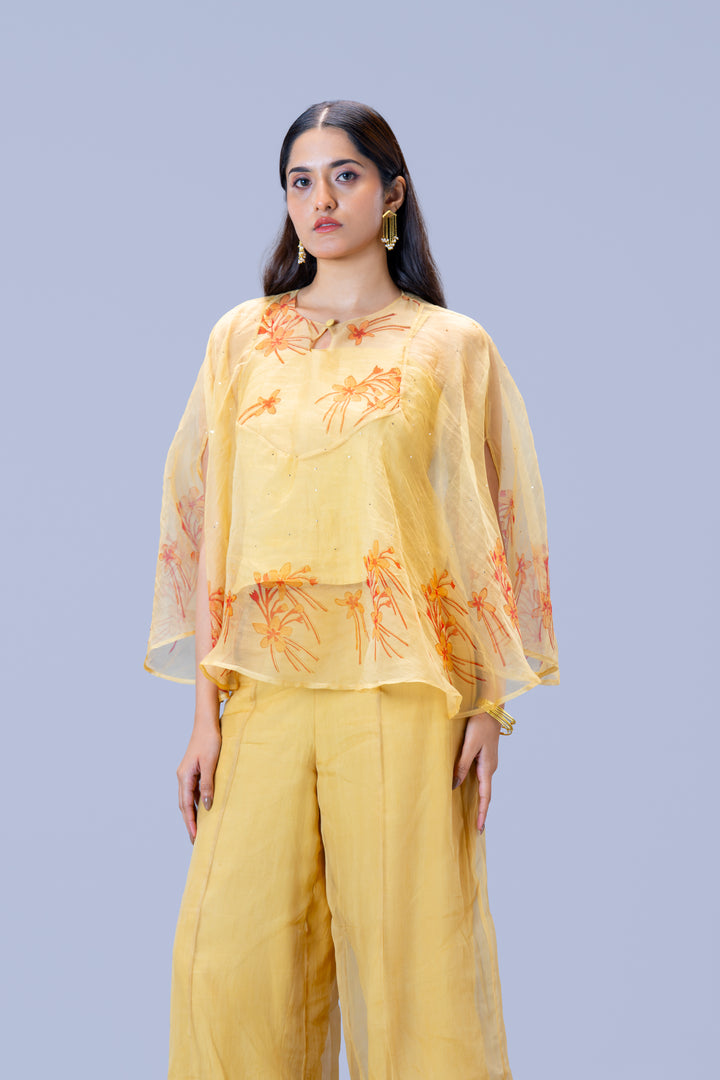 Beige Krishna Kireedam Block Print Silk Organza Poncho Top and Palazzo Pant Set