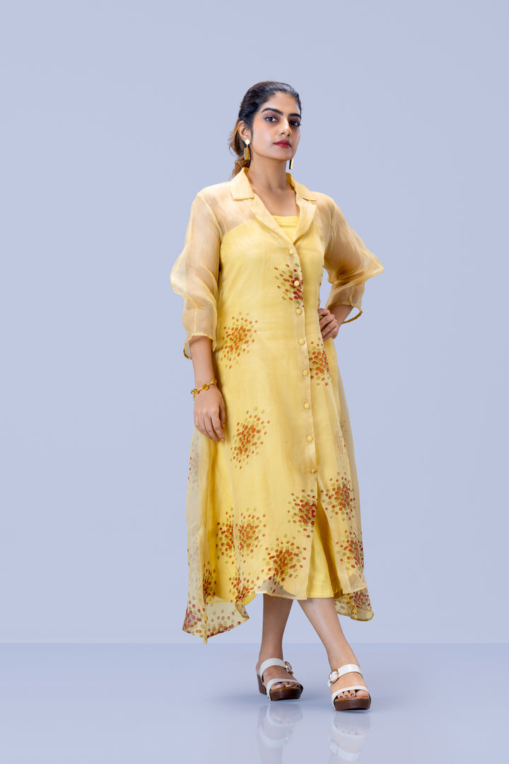 Beige Kurumulak Block Print Silk Organza Midi Length Shirt Dress