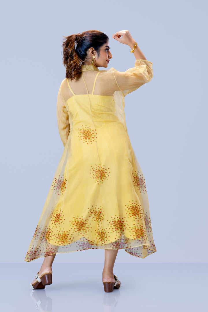 Beige Kurumulak Block Print Silk Organza Midi Length Shirt Dress