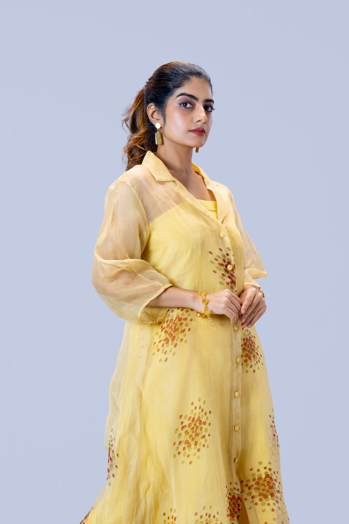 Beige Kurumulak Block Print Silk Organza Midi Length Shirt Dress
