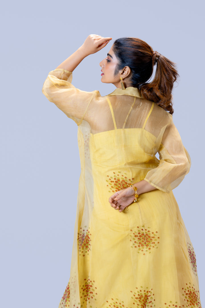 Beige Kurumulak Block Print Silk Organza Midi Length Shirt Dress