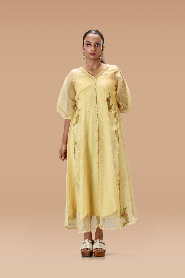 Beige Kurumulak Block Print Mulberry Silk Organza Midi Length Shirt Dress