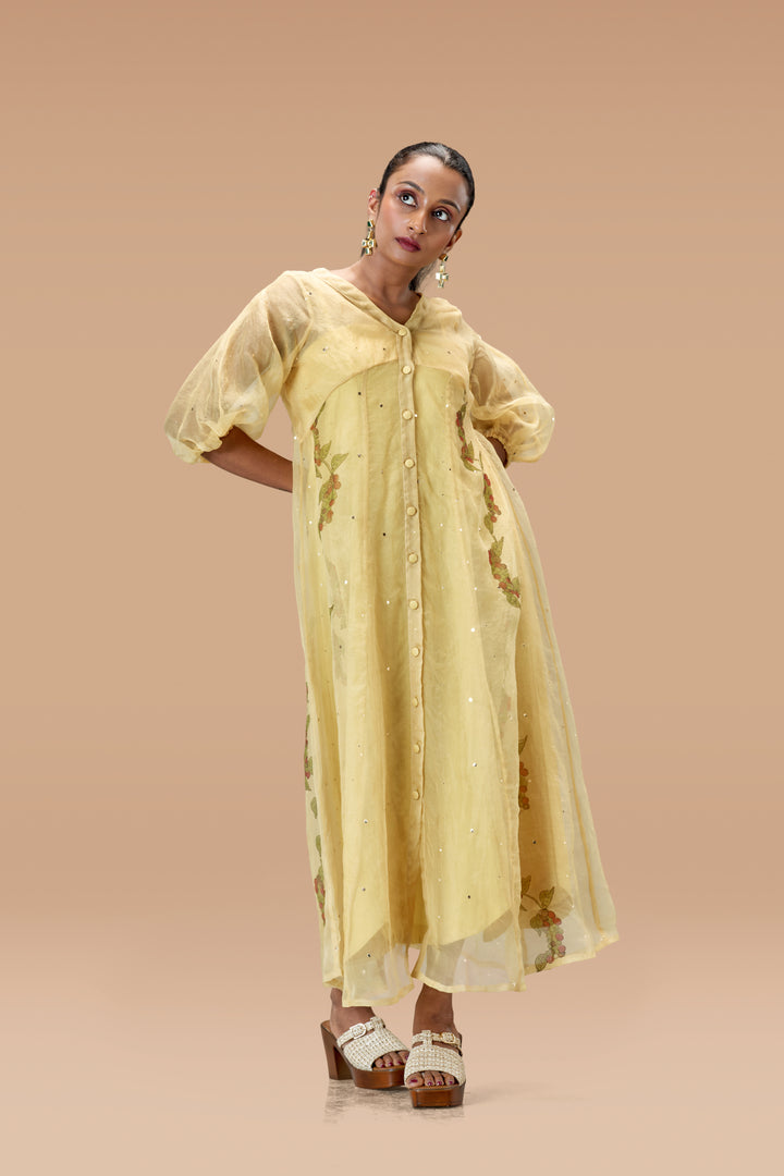 Beige Kurumulak Block Print Mulberry Silk Organza Midi Length Shirt Dress