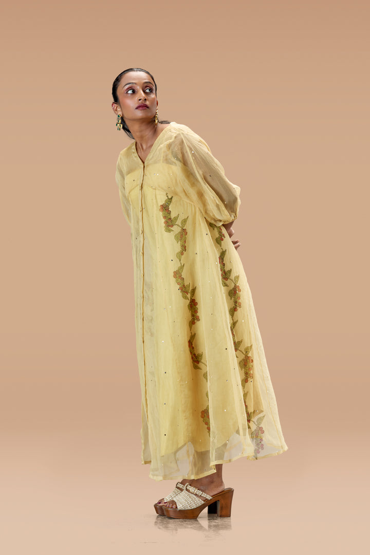 Beige Kurumulak Block Print Mulberry Silk Organza Midi Length Shirt Dress
