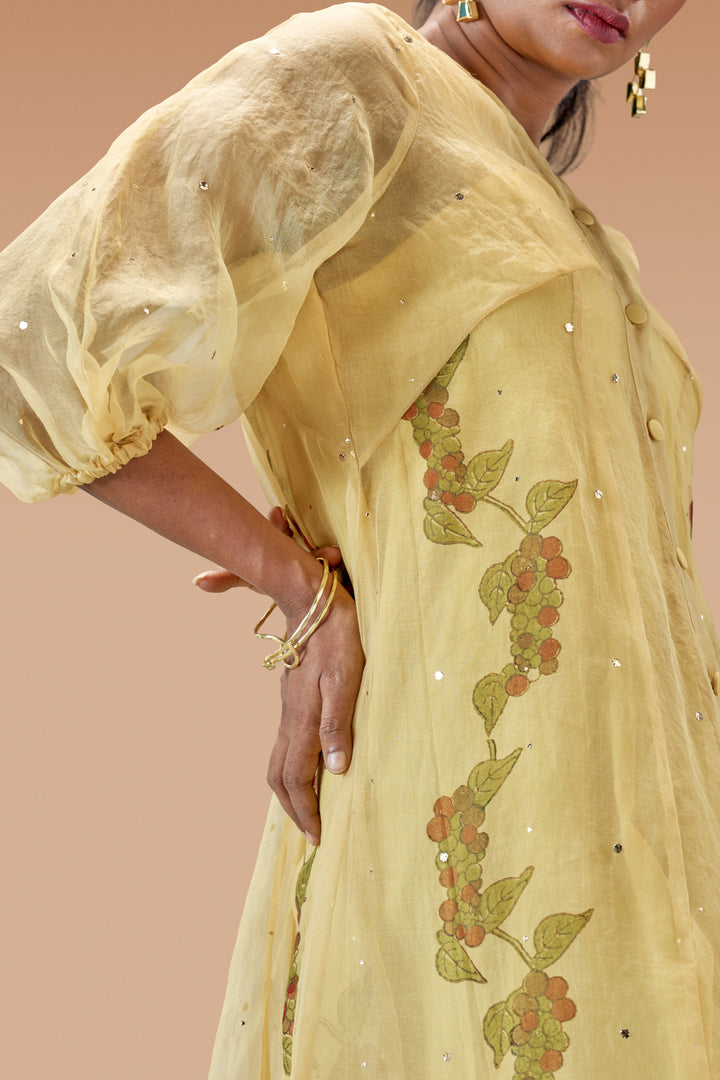 Beige Kurumulak Block Print Mulberry Silk Organza Midi Length Shirt Dress