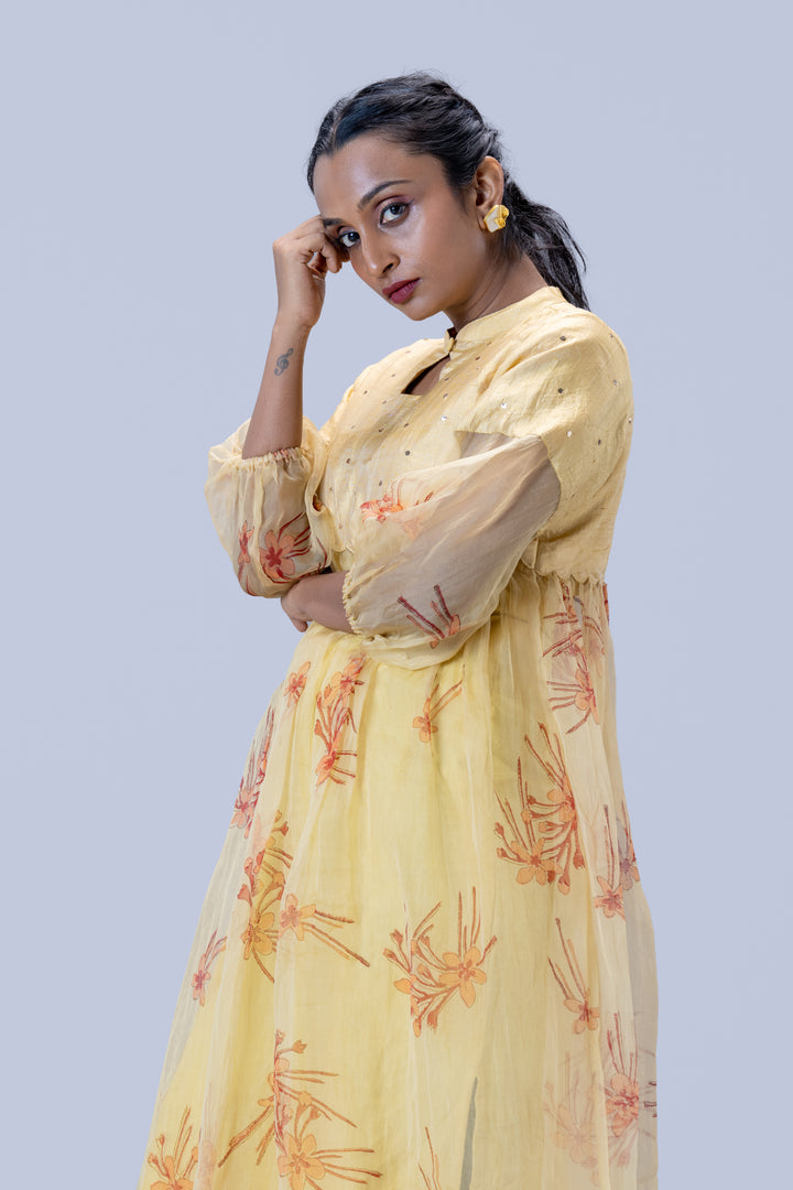 Beige Krishna Kireedam Block Print Mulberry Silk Organza A-Line Puff Sleeve Midi Dress