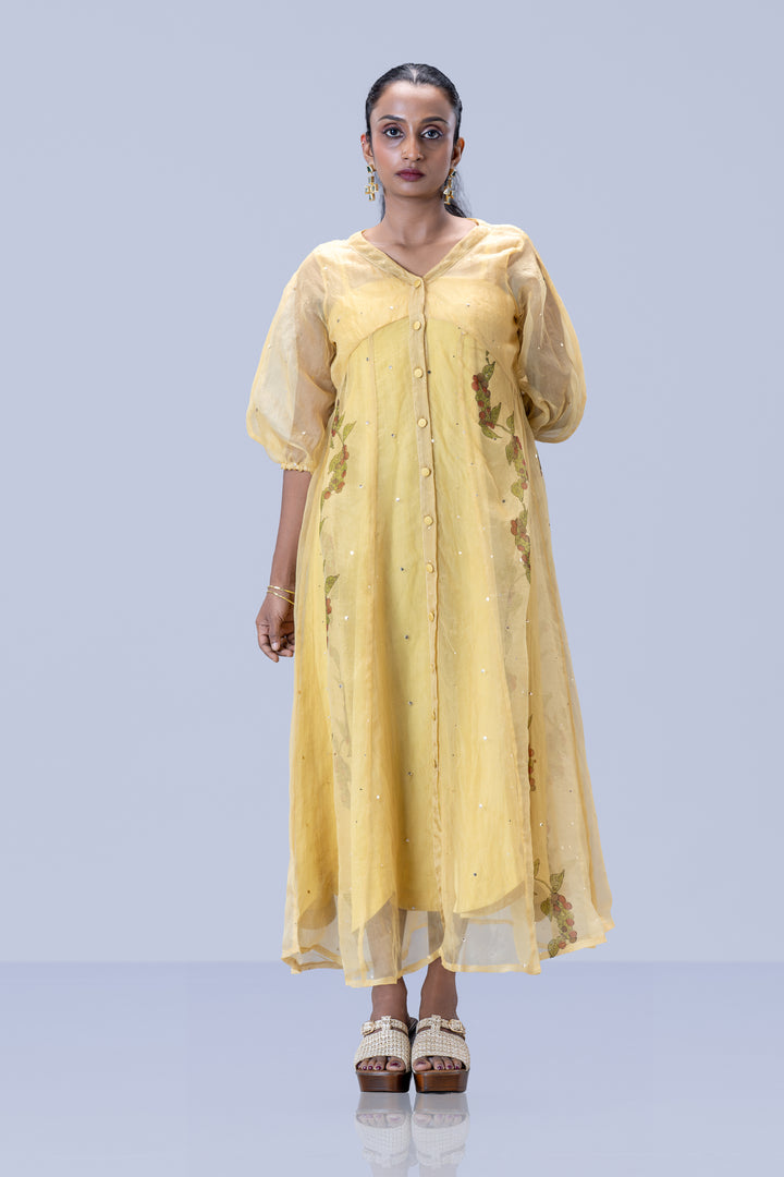 Beige Kurumulak Block Print Mulberry Silk Organza Midi Length Shirt Dress