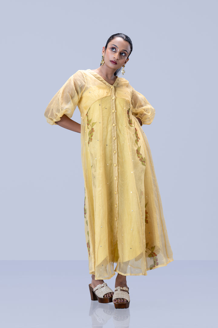 Beige Kurumulak Block Print Mulberry Silk Organza Midi Length Shirt Dress