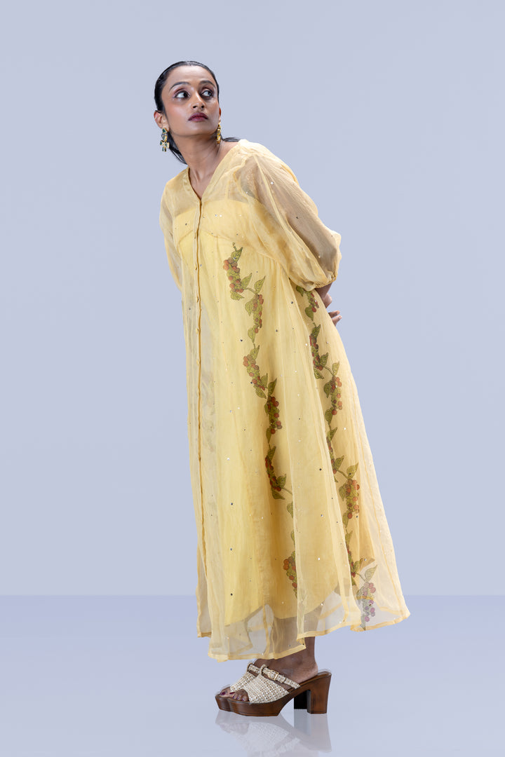 Beige Kurumulak Block Print Mulberry Silk Organza Midi Length Shirt Dress