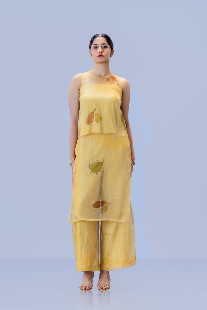 Beige Plaavila Block Print Silk Organza Sleeveless Kurti and Palazzo Pant Set