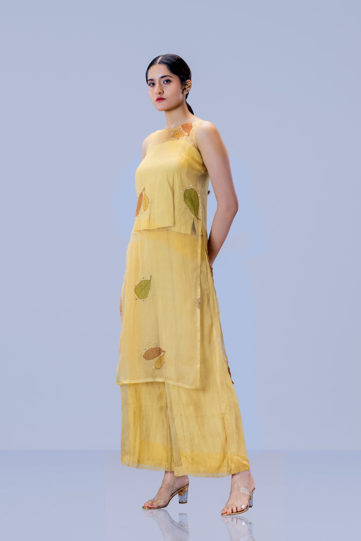 Beige Plaavila Block Print Silk Organza Sleeveless Kurti and Palazzo Pant Set