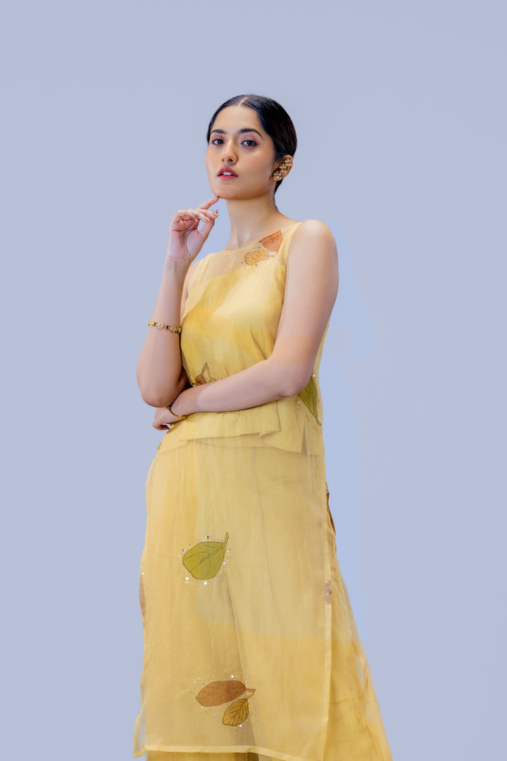 Beige Plaavila Block Print Silk Organza Sleeveless Kurti and Palazzo Pant Set